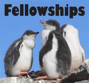 1fellowship logo