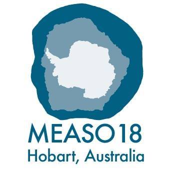 1 MEASO18 logo