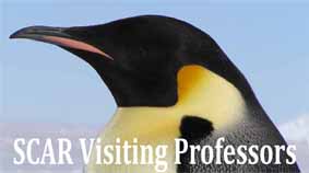 Visiting Prof logo