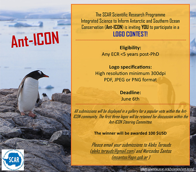 Ant ICON logo competition web
