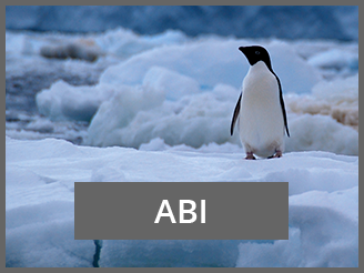 ABI Project Acid nc penguin seaice