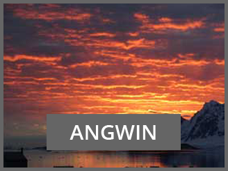 ANGWIN Project Sunset