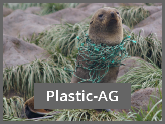 Plastic Project seal in net