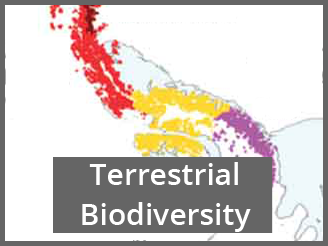 Product TerrestrialDatabase