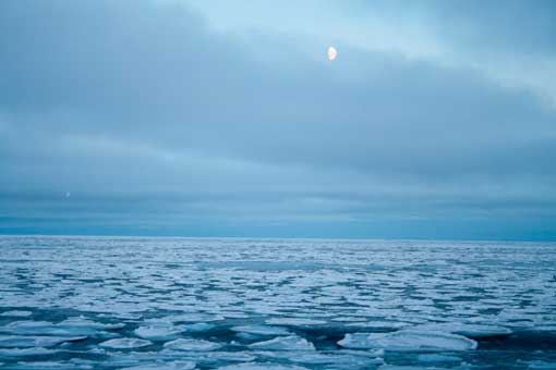 AVdP sea ice and moon web