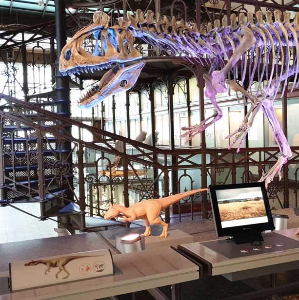 museum polar dinosaurus wev