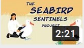 Seabird Sentinel Project.PNG