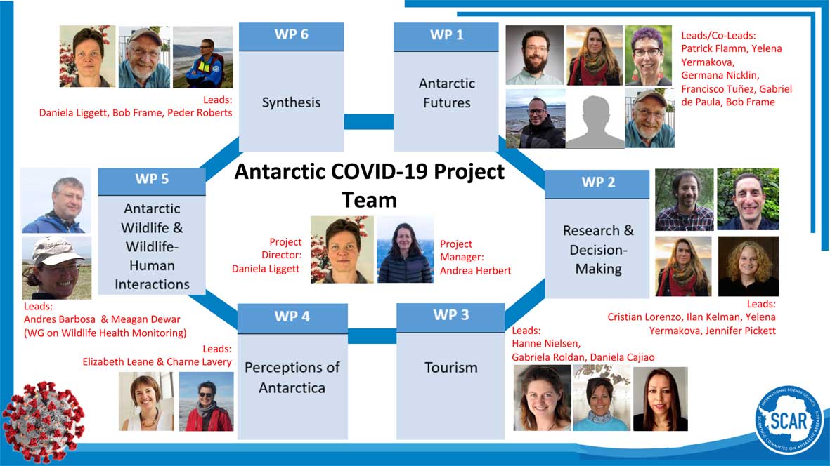 COVID 19 Project Infographic web