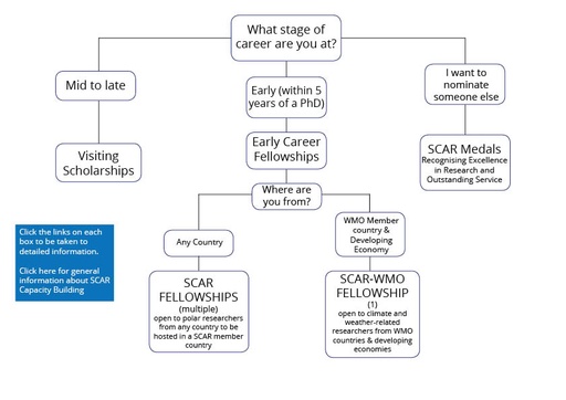 SCAR Fellowships and Awards Flowchart