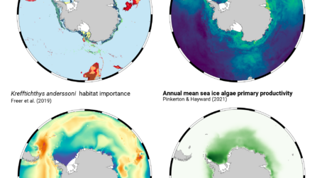 Four graphics of Antarctica done with the R package SOmap, displaying different layers of model outputs.