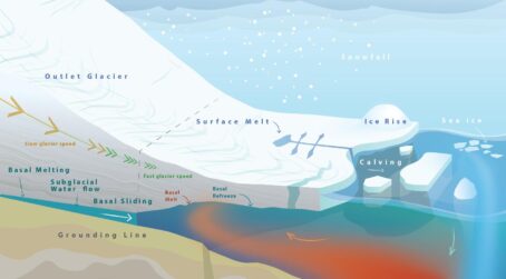 View Major RINGS Community Review Paper and New Resources Now Available