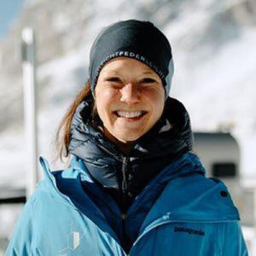 Antarctica InSync Action Group | SCAR